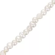 Perle irregolari d'acqua dolce 4x3,5 mm - Bianco perlato x35cm