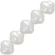 Perle irregolari d'acqua dolce 7x8 mm - Bianco perlato x15