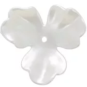 Pendenti a fiore 36 mm in plastica - Bianco perlato x10