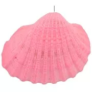 Pendente conchiglia colorato 16 a 20 mm - Rosa x1