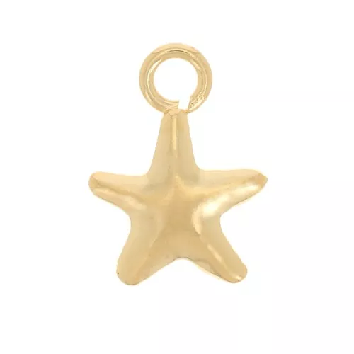 Mini ciondolo a stella 8x5,5 mm - Gold filled x1