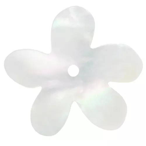 Fiore di madreperla 16 mm - Naturale x1