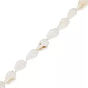 Mini conchiglie 10 mm - Naturale x146cm
