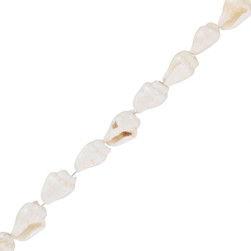 Mini conchiglie 10 mm - Naturale x146cm