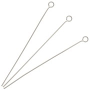 Chiodini a testa tonda 50x0,6 mm - acciaio inox 304 x10|raw }}