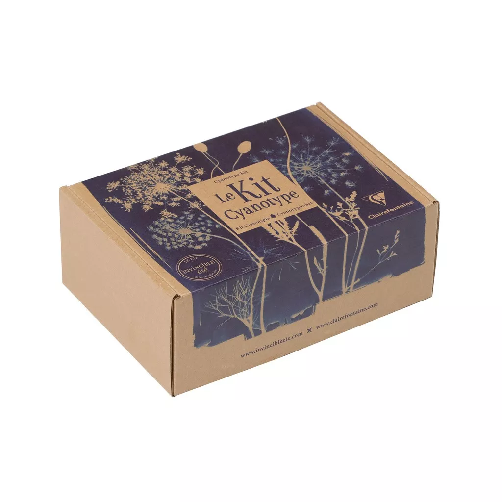 WEBEEDY Kit Di Pittura Su Tela 20x25cm Per Adulti: 2 Tele Pre-stampate Anemone, Colori E Pennelli, Serata Dipinti Di Coppia