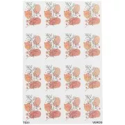 Feuille de transfert VeroS 13.5x9 cm - papier soluble pour pâte polymère - N°031 x1