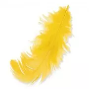 Piume da 8 a 12 cm Giallo x3gr