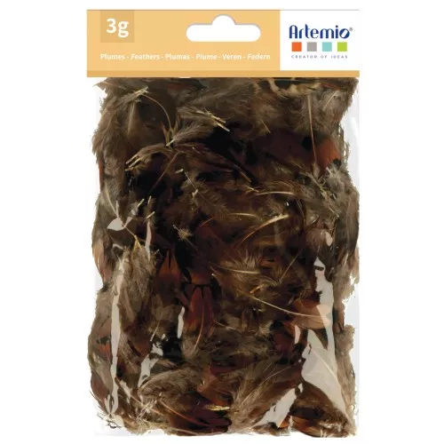 Piume di fagiano da 3 a 5 cm per gioielli e decorazioni fai da te - Naturale x3gr