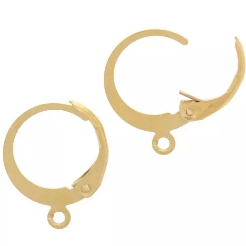 Orecchini rotondi creoli - Anello aperto 12 mm Acciaio inox 304L dorato x20