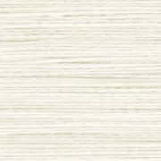 Filo Silamide A 0,20 mm Natural x36,5m