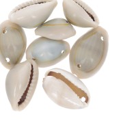 Assortimento di conchiglie Cauri Naturale x 10