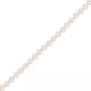 Perle Aurora 5810 3 mm - Perla Crystal Creamrose x61cm