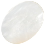 Cabochon ovale piatto di madreperla 18x13 mm x1
