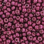 Rocaille Miyuki Duracoat 11/0 4219 - Galvanized Magenta x8g|raw }}