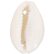 Assortimento di distanziatori per conchiglie Cauri da 19 a 22 mm - Naturale x10|raw }}