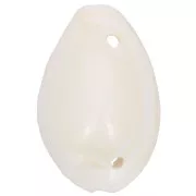 Assortimento di distanziatori per conchiglie Cauri da 19 a 22 mm - Naturale x10