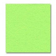 Rettangolo di feltro mm. 1.5 30,5x22,9 cm Neon Green x1|raw }}
