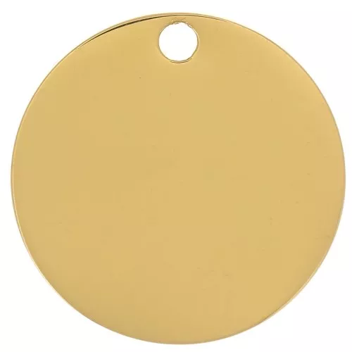 Ciondolo a medaglia incidibile 15 mm - Acciaio inossidabile 316L placcato oro x1