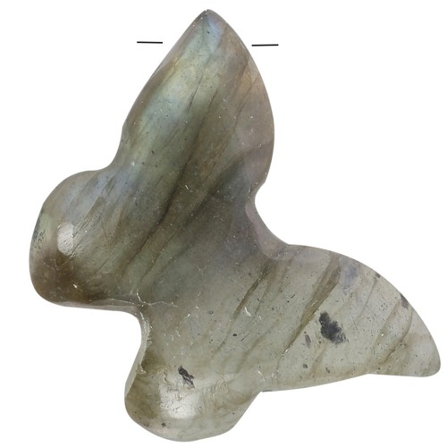 Pendente farfalla in pietra semipreziosa 13x18 mm - Labradorite x1