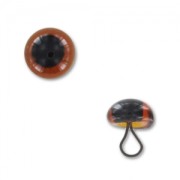 Occhi di vetro di animali 6 mm Bruno x1|raw }}