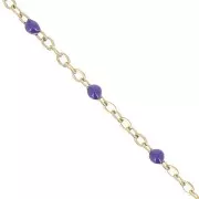 Catena con perline in resina da 2mm Acciaio inox 304 dorato Viola scuro x1m