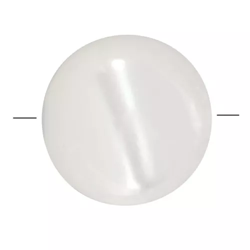Dischi piatti tondi mm. 6 Naturale x20