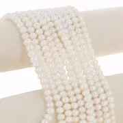 Perle d'acqua dolce 8x6 mm - Grado AAA Bianco x4