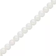 Perle ovali d'acqua dolce 5x4 mm - Grado AA- Bianco x6