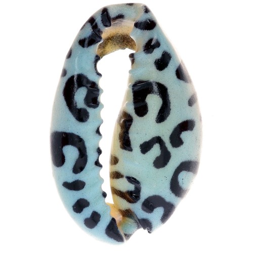 Conchiglia Cauri 18-23 mm stampa leopardo - Azzurro - Nero x1