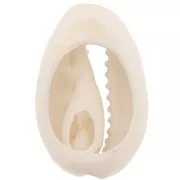 Conchiglia Cauri 18-23 mm stampa leopardo - Marrone chiaro - Ecrù - Nero x1