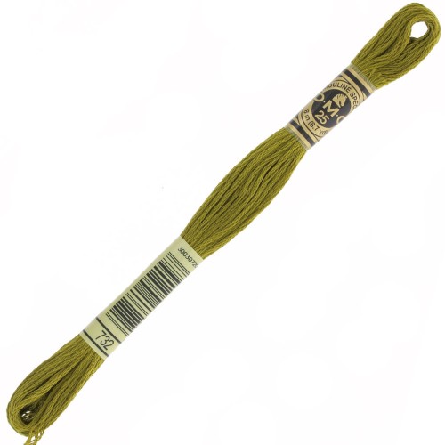 Filo da ricamo DMC Mouliné Special 117 MC - Olive (732) x8m