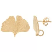 Orecchini a perno con foglie di ginkgo 15x22 mm - placcati oro 3 micron x2
