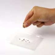 Kit di saponi Graine Créative - Kit di saponi alla lavanda x1