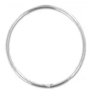 Anello 27mm Argento 925 x1