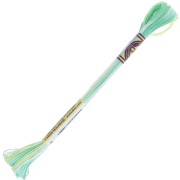 Filo da ricamo DMC Mouliné Color Variations - Mermaid (4040) x8m|raw }}