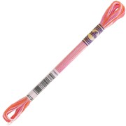 Filo da ricamo DMC Mouliné Color Variations - Sprinkling (4190) x8m|raw }}