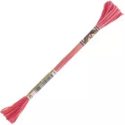 Filo da ricamo DMC Mouliné Color Variations - San Valentino (4200) x8m