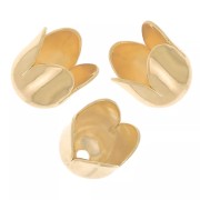 Conchiglie Tulipano 6 mm - Dorato x4