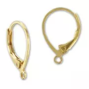 Orecchini con ganci chiusi mm. 16 dorato con oro fino x2