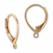 Orecchini a cerchio da 16 mm - Rosa dorato x2