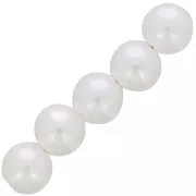 Perle tonde d'acqua dolce da 10 mm - Bianco perlato x50