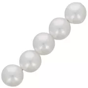 Perle rotonde d'acqua dolce da 16 mm - Bianco perlato x15