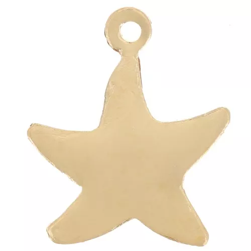 Pendente forma di stella marina 14x12 mm - Gold filled x1