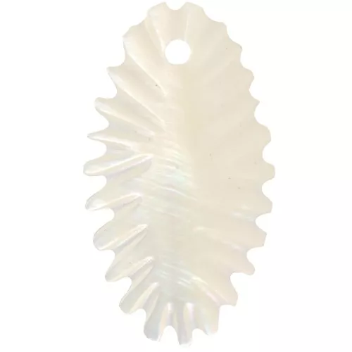 Ciondoli a forma di foglia in madreperla 28x16 mm - Naturale x2