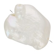 Perla d'acqua dolce barocca irregolare Keshi - da 10 a 14 mm - Grado AAA - Bianca x1