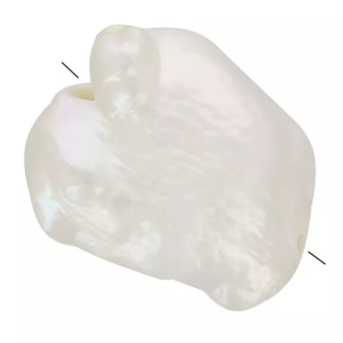 Perla d'acqua dolce barocca irregolare Keshi - da 10 a 14 mm - Grado AAA - Bianca x1