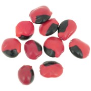 Semi di huaeruro sudamericano 10 mm Naturale x 10