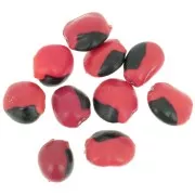 Semi di huaeruro sudamericano 10 mm Naturale x 10