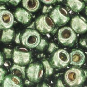 Rocaille Miyuki Duracoat 8/0 4215 - Galvanized Sea Green x8g|raw }}